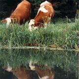 0000K 17 Brenz Bolheim 92